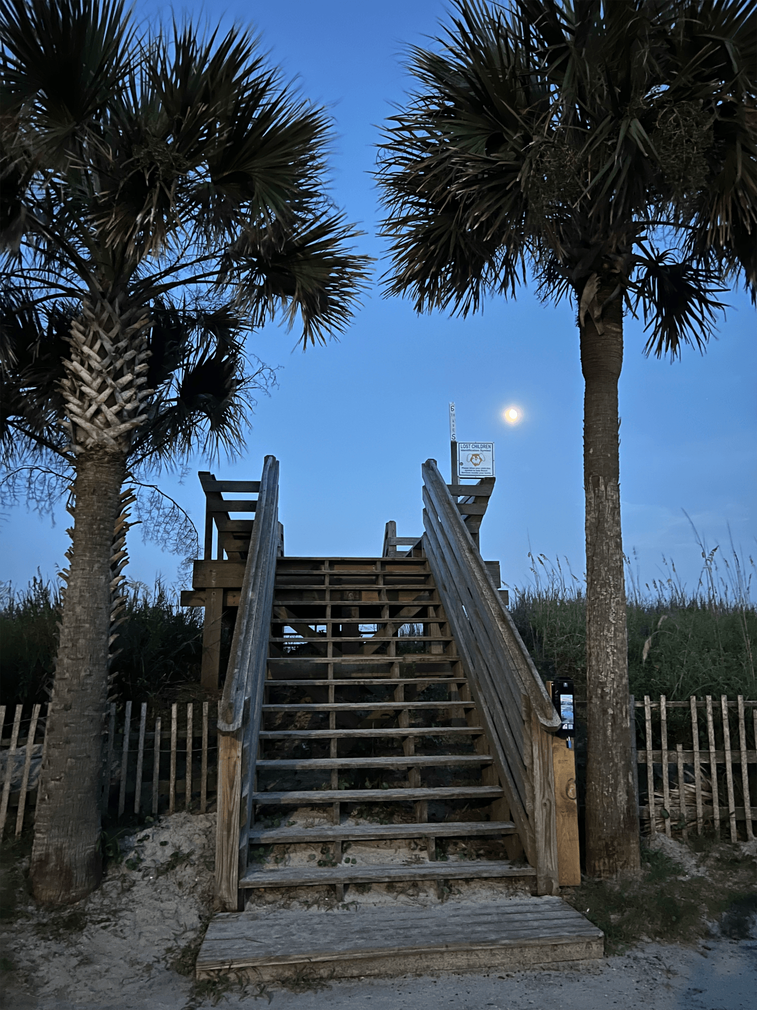 Stairway to the Beach