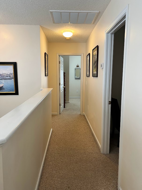 Gallery image 13